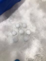 -Mr·Kuma酷么先生雪之乐园