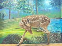 -北京鹿世界主题园