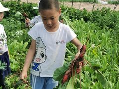 -童学馆亦庄馆(天宝中街店)