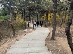 -北京西山国家森林公园