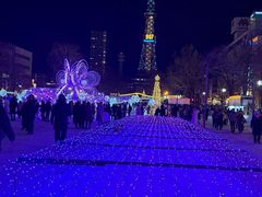 -大通公园