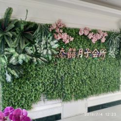 -添囍月子会所