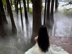 -东湖落雁景区