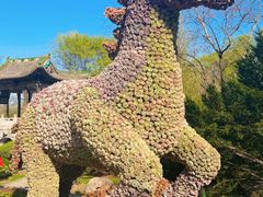 -沈阳植物园