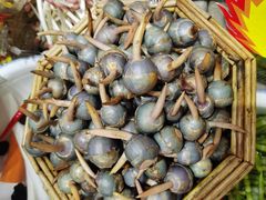 -王婆炒鱼(总店)