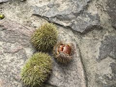 -黄公望隐居地