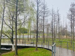 -贡湖湾湿地公园