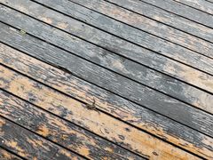 -四川大学(华西校区)