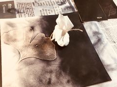 -猛犸手作·皮具·diy团建·礼品定制(新华路店)