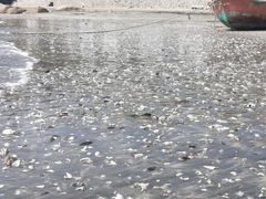 -浪琴湾度假村