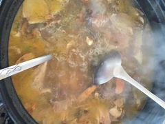 -蘑统田下·野生菌火锅