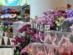 -盒马鲜生(丁香国际店)
