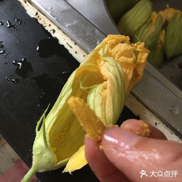 炸倭瓜花