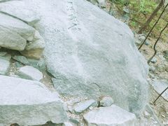 -北京鹫峰国家森林公园