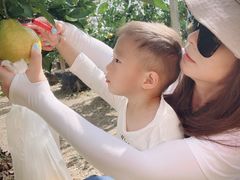 -前小桔亲子创意农场·草莓采摘·露营烧烤