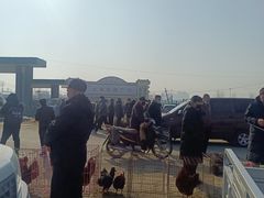 -牛头崖大集