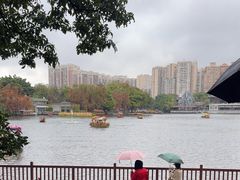 -荔湾湖公园