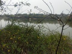 -三圣花乡旅游区