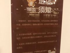 -喵园·猫主题咖啡厅·撸猫·猫咖(国贸店)