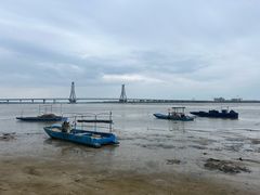 -北海金海湾红树林生态旅游区
