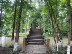 -桤木河湿地公园