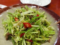 肉丝拌芹菜-老朴朝鲜风味(顾乡店)