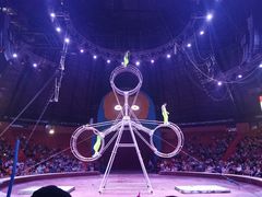 -俄罗斯国家大马戏团