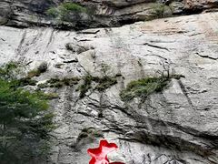 -陕西省红河谷森林公园