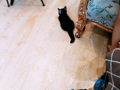-万小咖.猫咖(中山路天虹店)