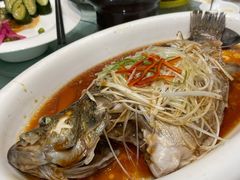 清蒸鲈鱼-御仙都北京菜馆·烤鸭店(双井店)