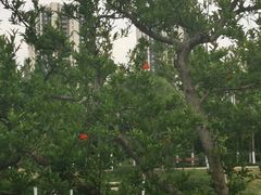 -汉长安城未央宫国家考古遗址公园