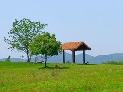 -良渚古城遗址公园