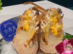 -海月轩海鲜豆捞(紫金塔店)