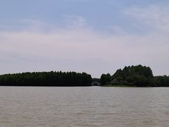 -上海海湾国家森林公园