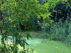 -长白岛森林公园