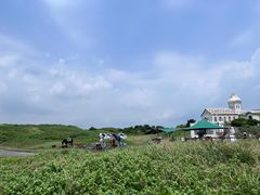 -涉地可支