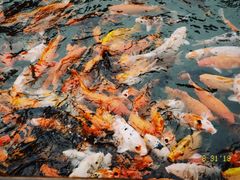 -兰溪地下长河