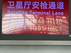-上海浦东国际机场-T2航站楼