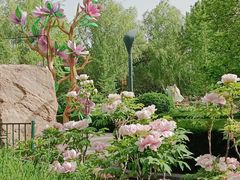 -洛阳市隋唐城遗址植物园