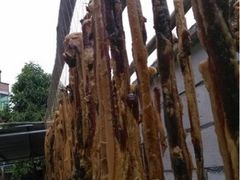 波记农庄-波记农庄