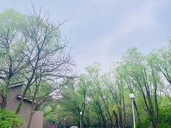 -北京奥林匹克公园