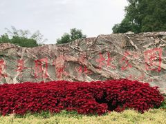-东平国家森林公园