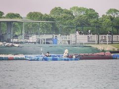 -春花秋色城市公园