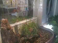 -蒲公英舞蹈艺术中心(促进路校区)