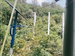 -西安祥峪森林公园