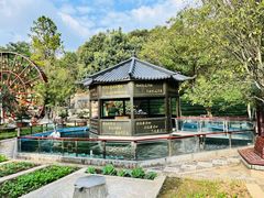 -龙坞茶村