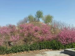 android_upload_pic-赵州桥景区
