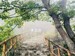 -北京上方山国家森林公园