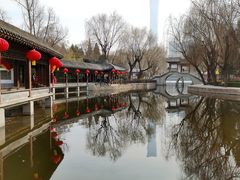 -团结湖公园