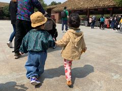 -海南热带野生动植物园